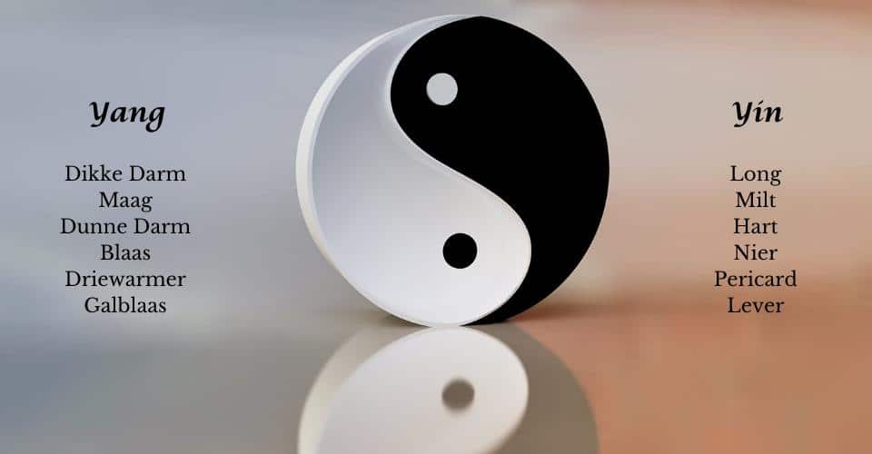 Yin en Yang: De Innerlijke Balans van het Lichaam