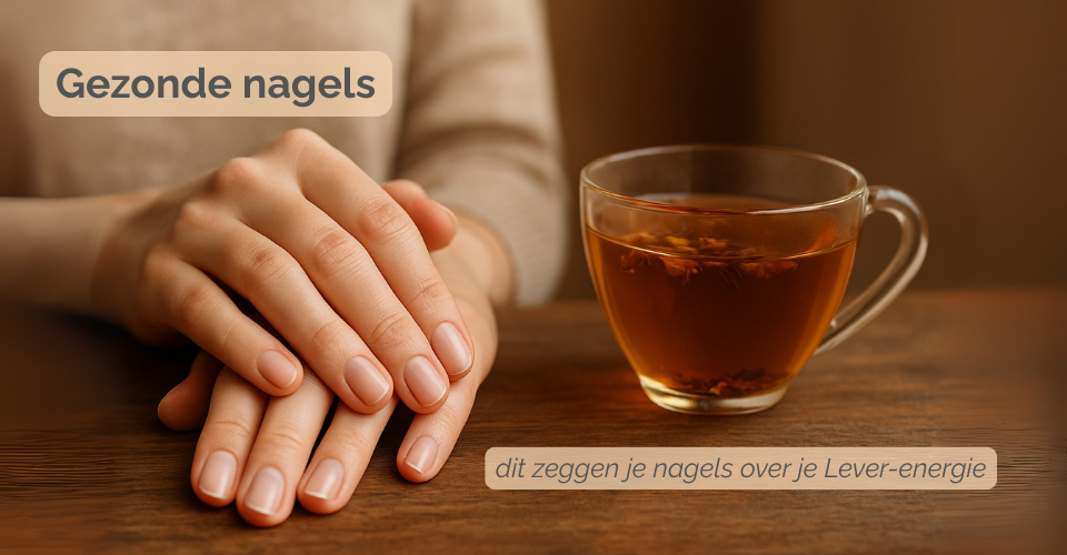 Gezonde nagels volgens de Chinese geneeskunde: dit zeggen je nagels over je Lever-energie